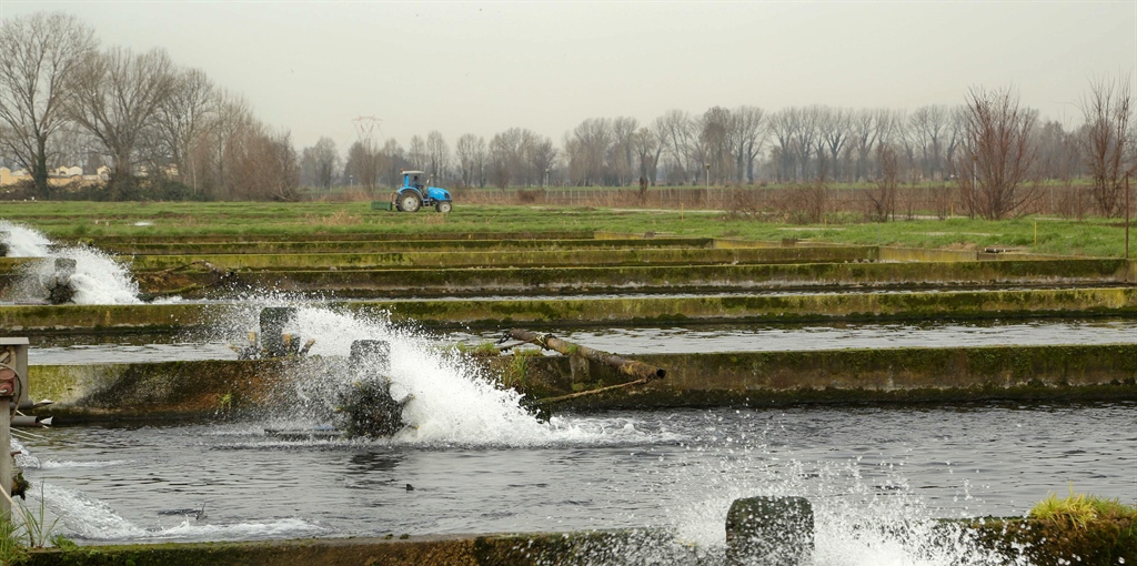 Pesca: decreto proroga al 31 dicembre 2026 l’obbligo di polizza catastrofi.
